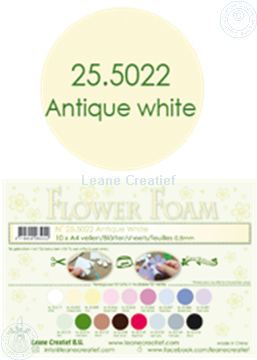 Image de Flower foam A4 sheet antique white