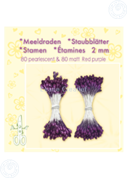 Afbeeldingen van Meeldraden ± 80 matt & 80 red purple