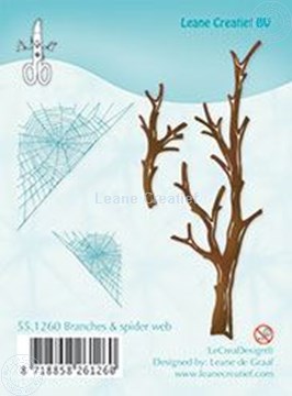 Afbeeldingen van Branches & spider web
