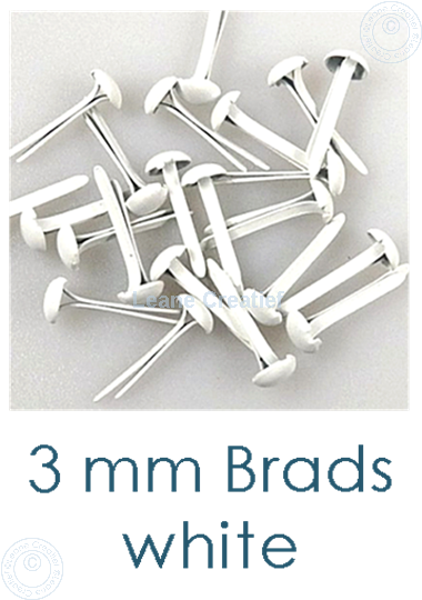 Image sur Brads 3mm Blanc