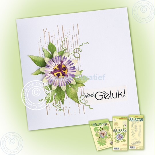 Bild von Simple card with Passionflower